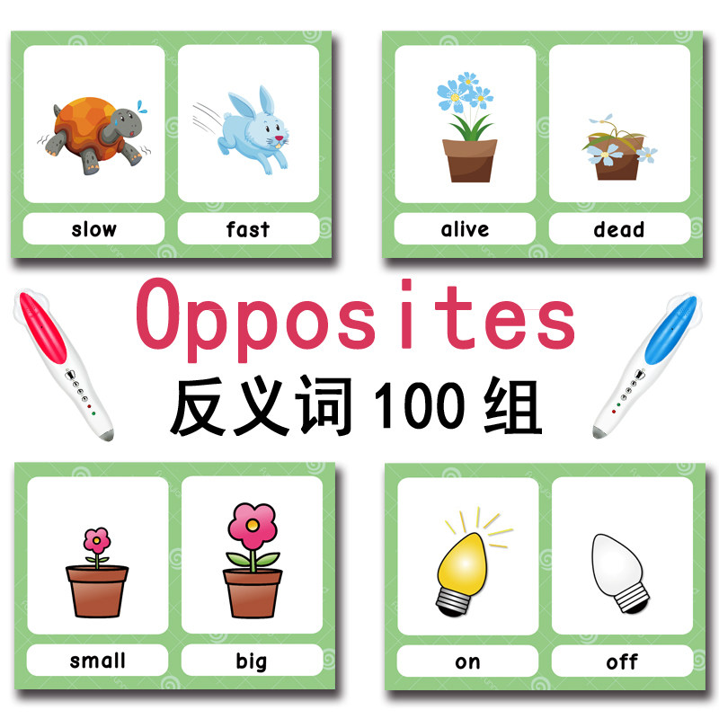 De 100 Groepen Tegenstellingen - Kid Educational recensie en prijs
